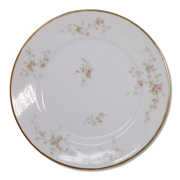 Theodore Haviland Limoges Dinner Plate 9 5/8" Gold Trim Pink Roses Antique 1903