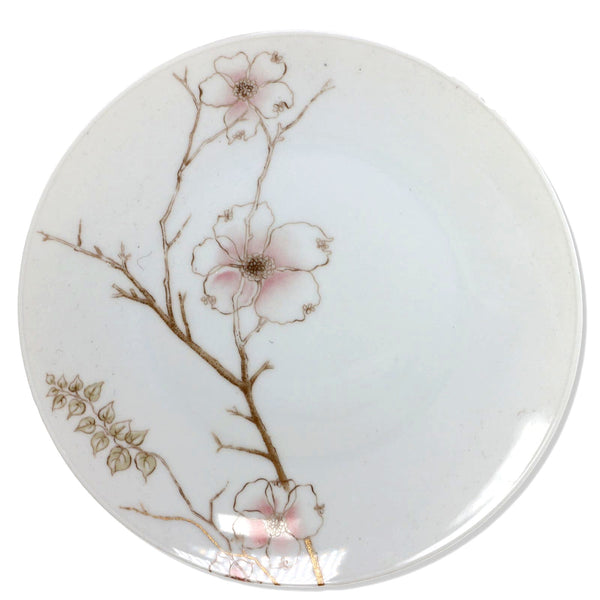 Rosenthal Blush Salad Dessert Plate 7 5/8" Design By Raymond Loewy 1960's