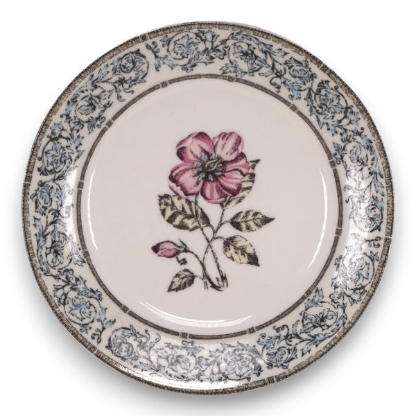 Queens Jardinet Salad Plate 8" Floral Fine China