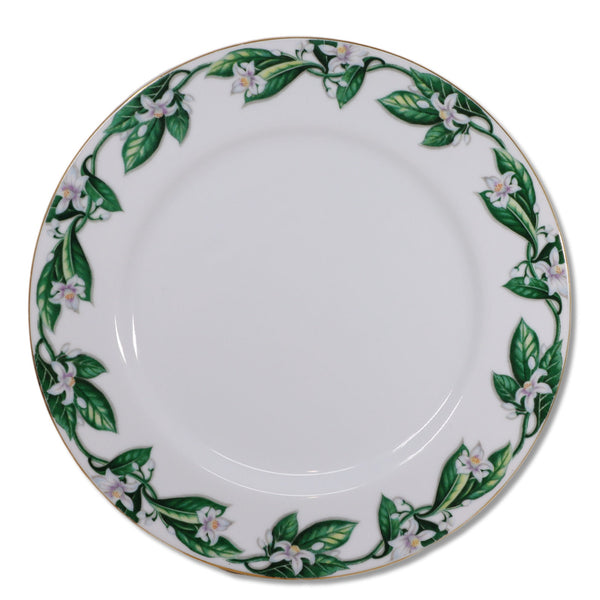 Kent Orange Blossom 10 1/2" Dinner Plates Gold Rim Japan Vintage 1950's