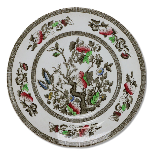 Ridgway Indian Tree Dinner Plate 9 7/8" Staffordshire England Vintage 1970's