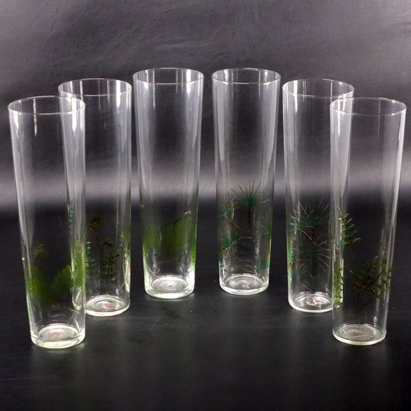 Roost 6pc San Francisco Green Botanical Glass Set  7" Ferns & Fronds Vintage